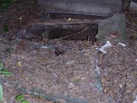 043 Birnbaum László